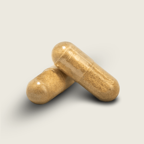 Ašvaganda 500 mg KSM - 66® šaknies ekstraktas “calm mind”, 60 kaps. - Alaushu